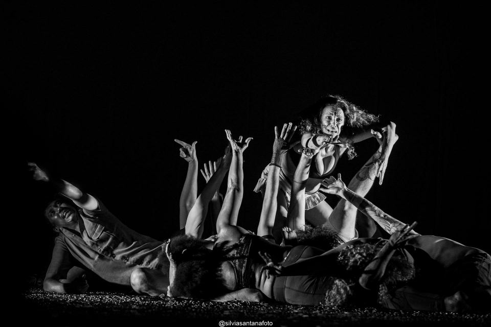 Cena Ouro – Epide(r)mia